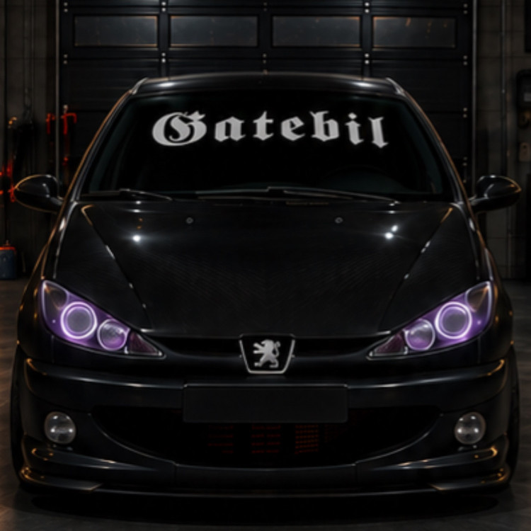 ویند شیلد GATEBIL
