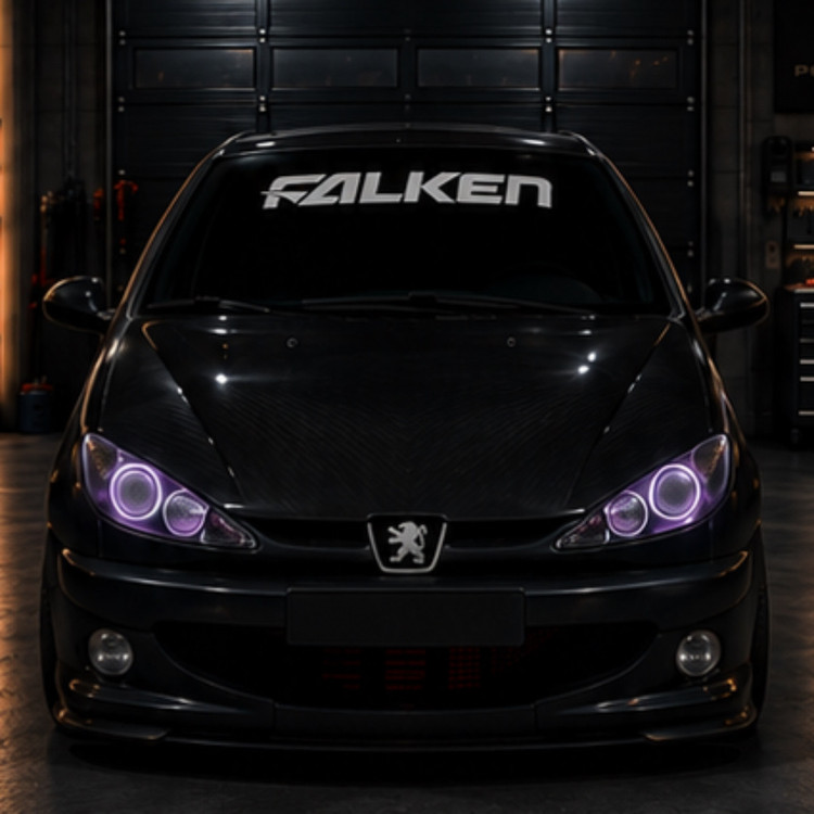 ویند شیلد FALKEN